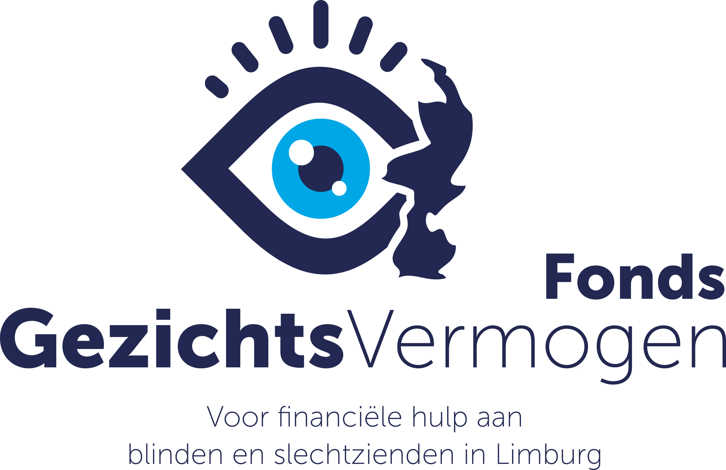 Logo Fonds Gezichtsvermogen