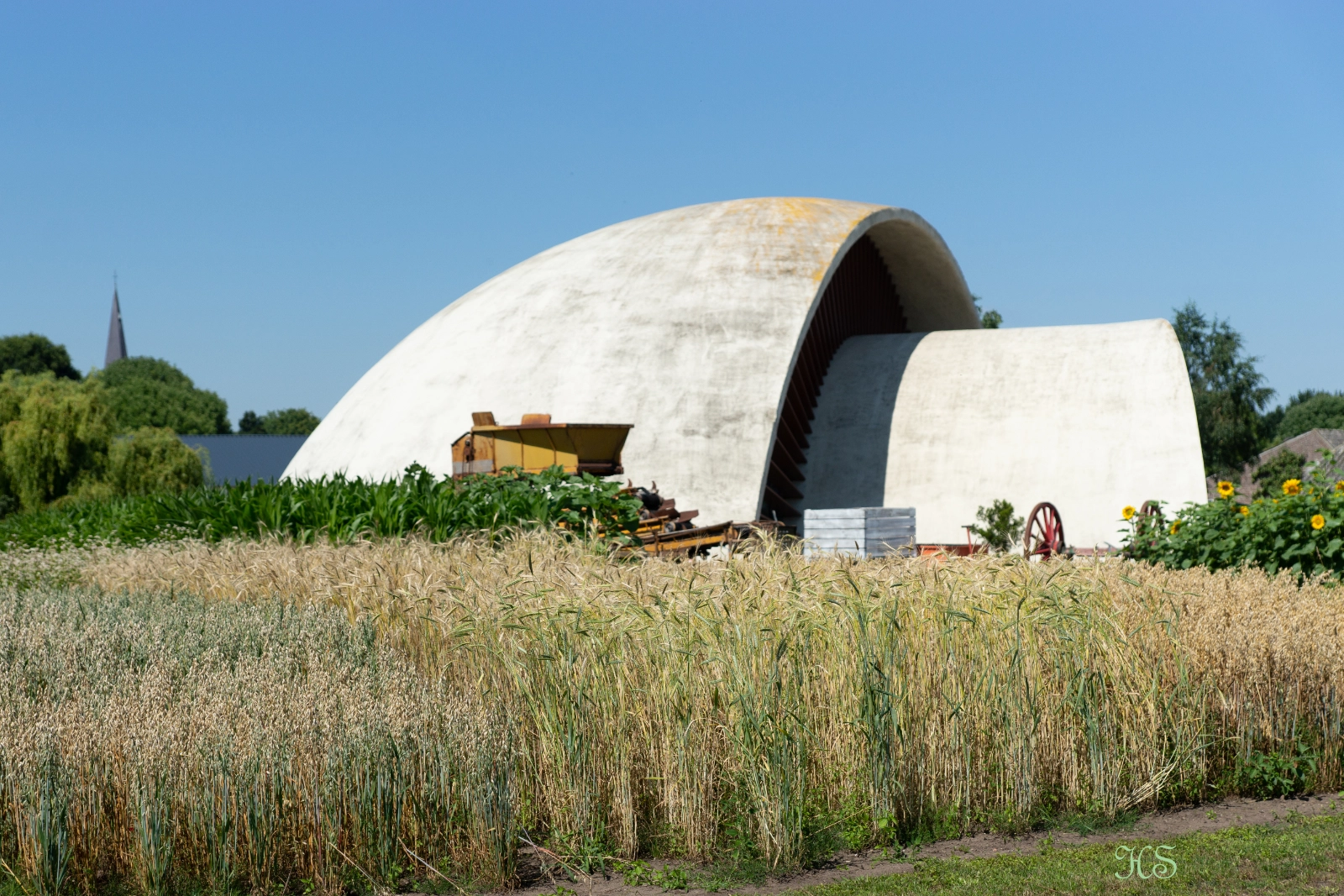 Het champignonpaviljoen