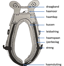 Elementen van de haam